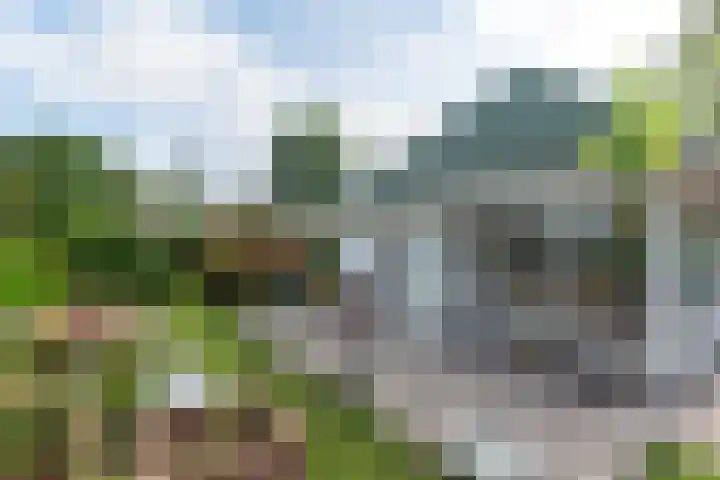 De Toekomst 126 Ouddorp thumbnail 6