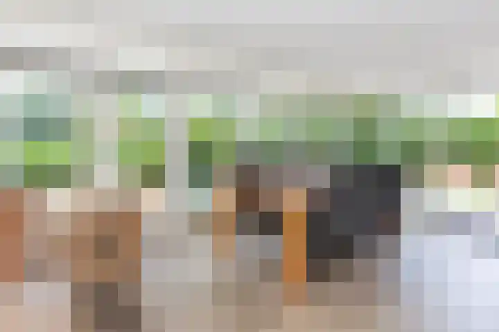 De Toekomst 126 Ouddorp thumbnail 7
