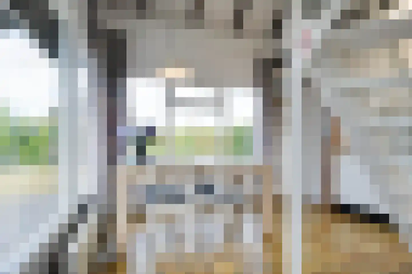 De Toekomst 132 Ouddorp thumbnail 11