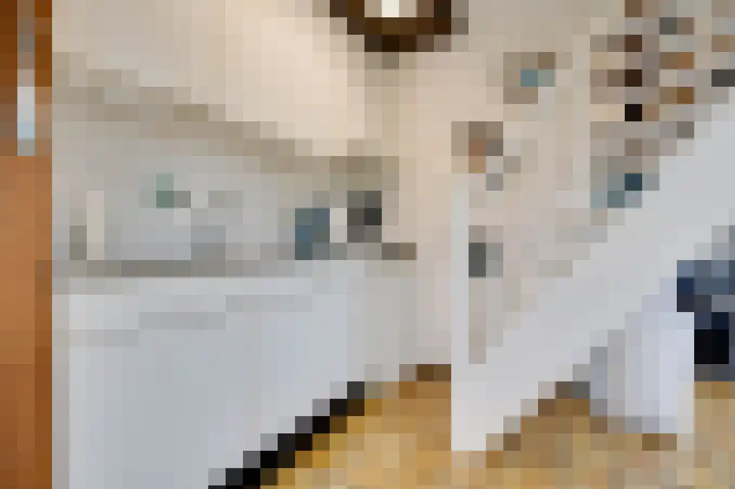 De Toekomst 132 Ouddorp thumbnail 14