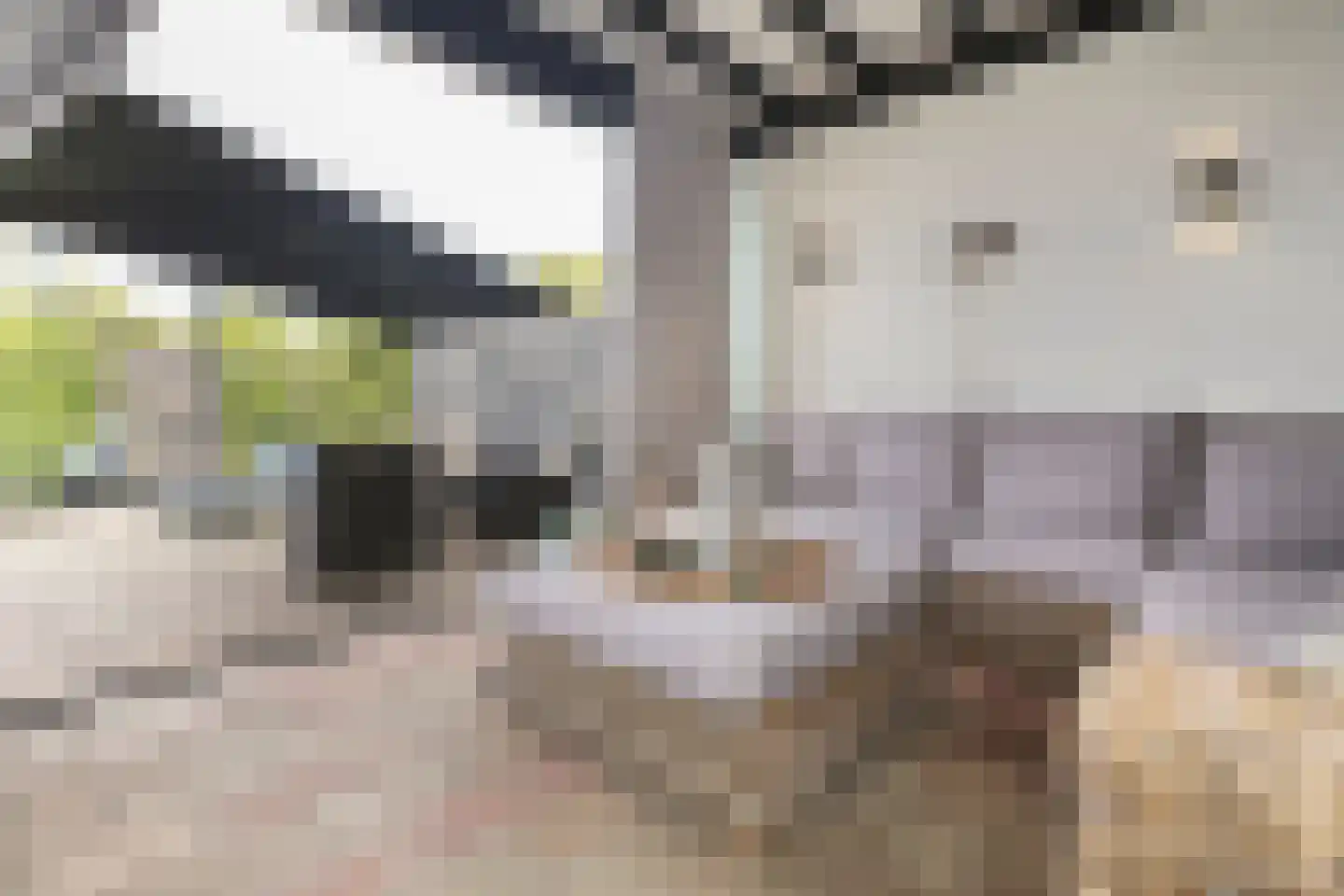 De Toekomst 133 Ouddorp thumbnail 5