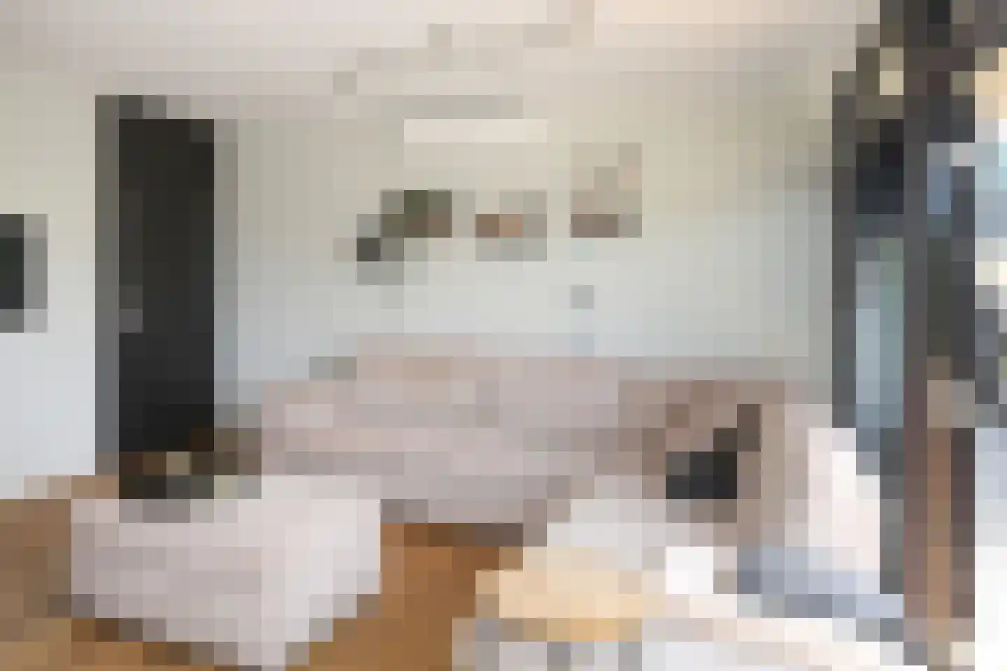 De Toekomst 133 Ouddorp thumbnail 7