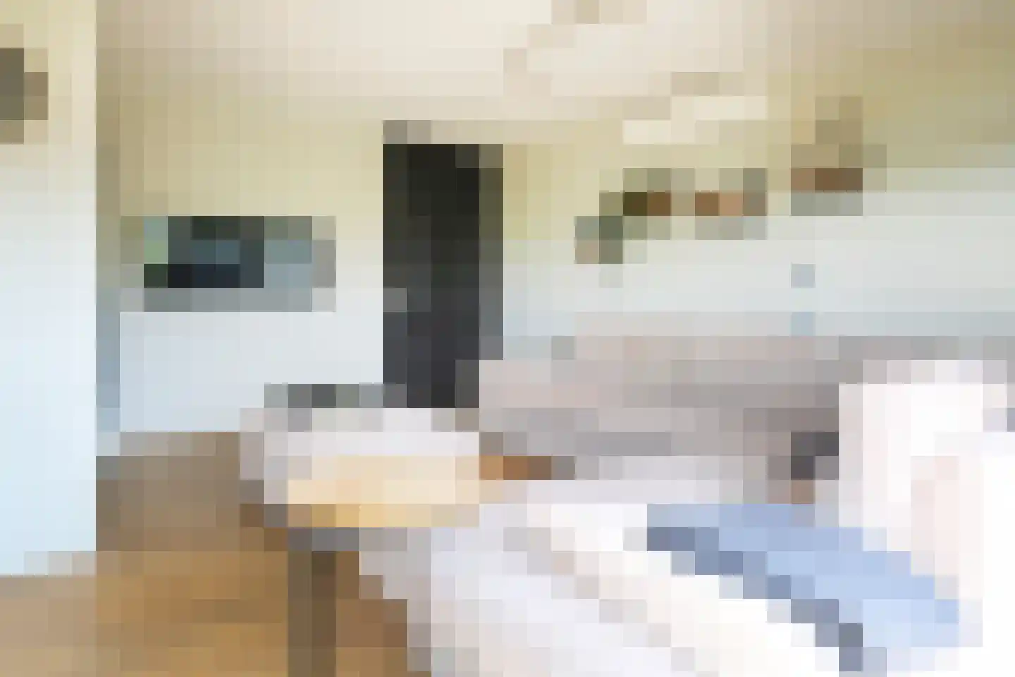 De Toekomst 133 Ouddorp thumbnail 8