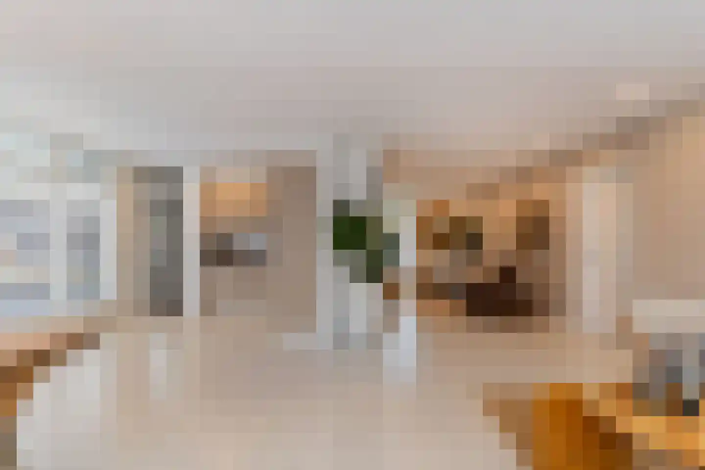 De Toekomst 135 Ouddorp thumbnail 12