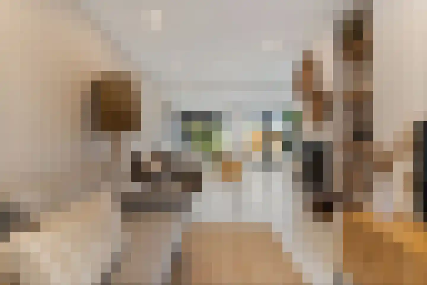 De Toekomst 135 Ouddorp thumbnail 17