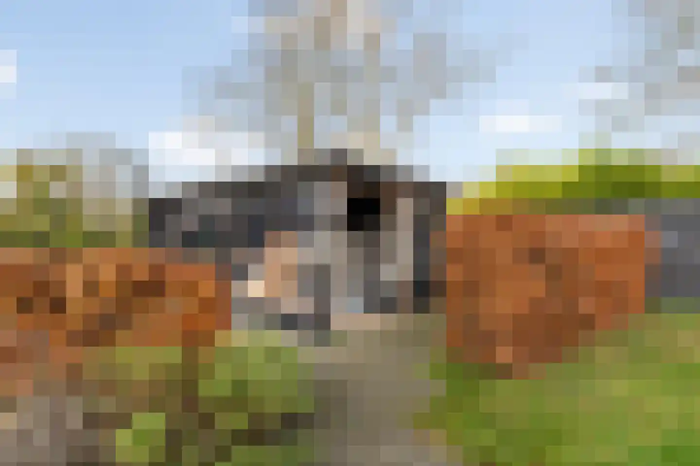 De Toekomst 135 Ouddorp thumbnail 43