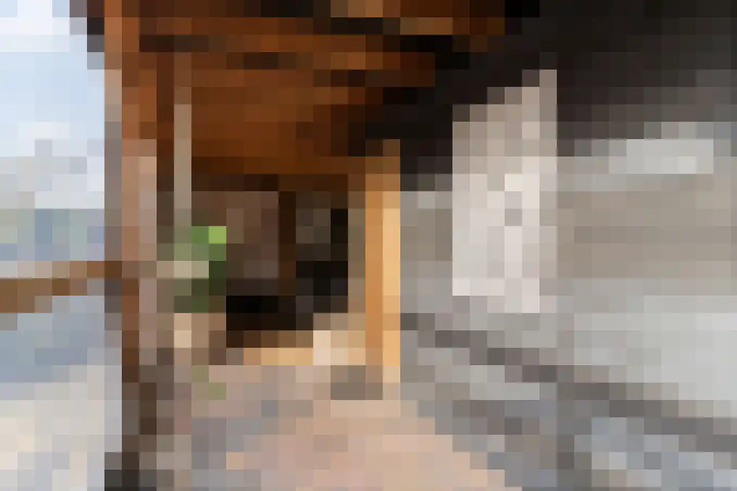 De Toekomst 135 Ouddorp thumbnail 45