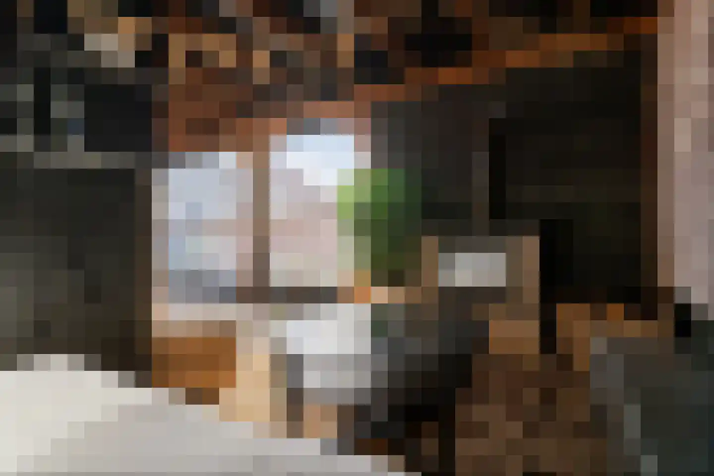 De Toekomst 135 Ouddorp thumbnail 46