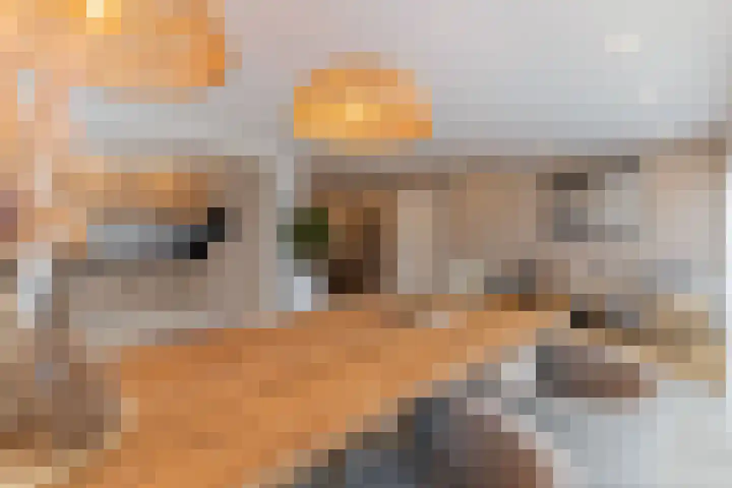 De Toekomst 135 Ouddorp thumbnail 8