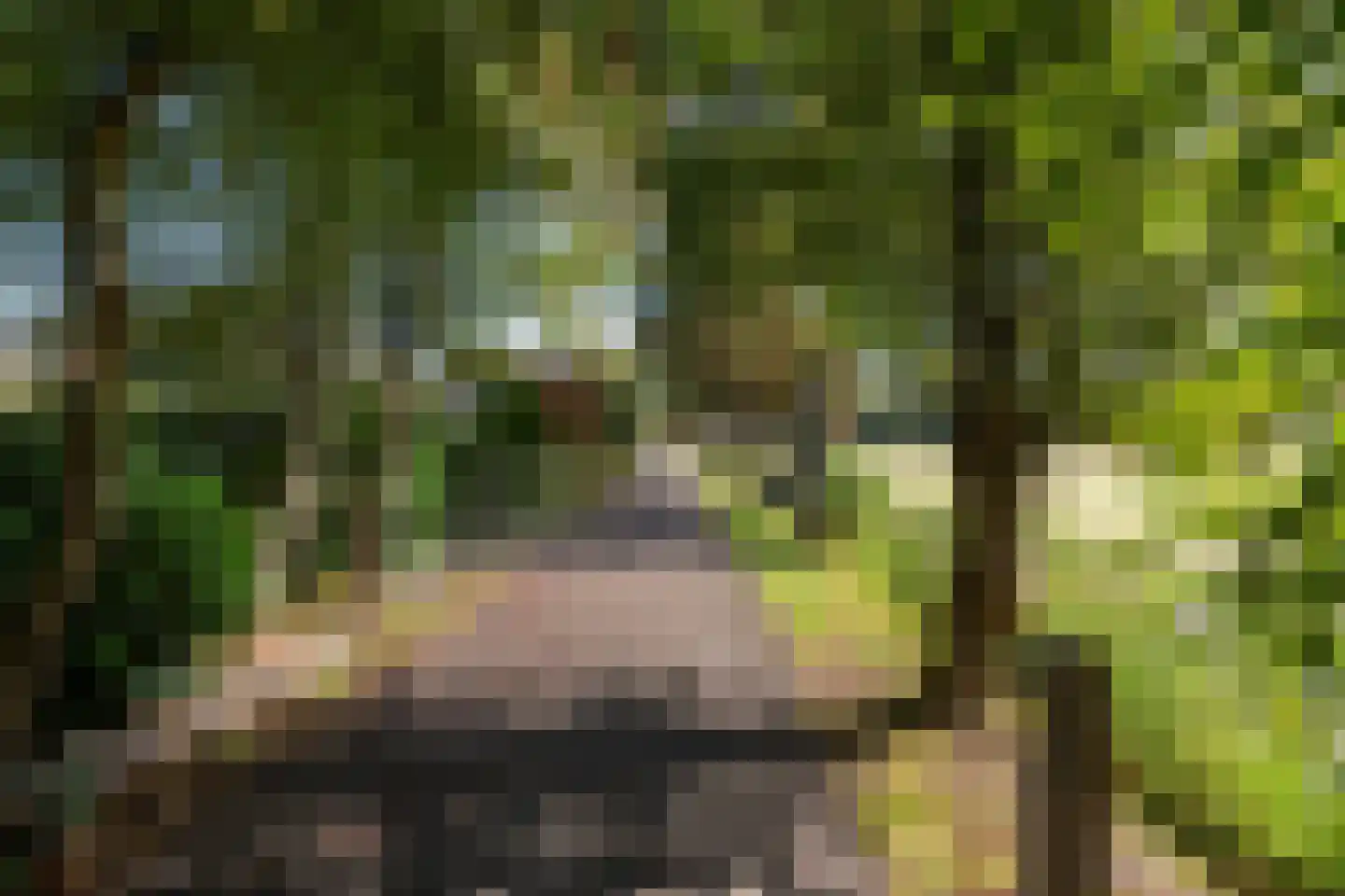 De Toekomst 139 Ouddorp thumbnail 34