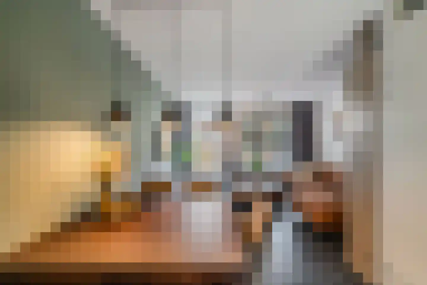 De Toekomst 15 Steggerda thumbnail 12