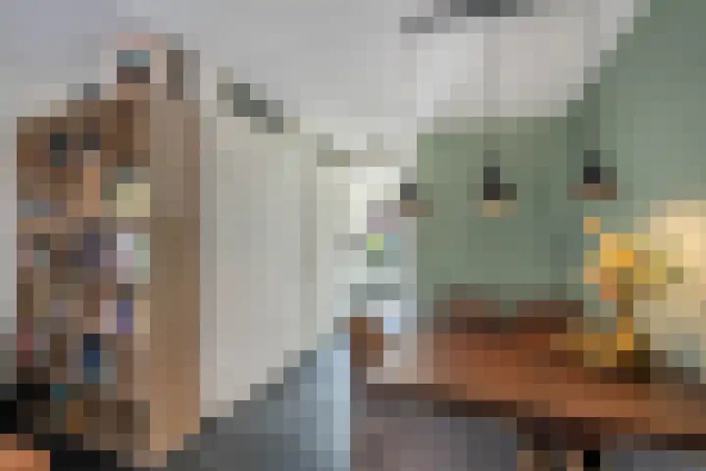 De Toekomst 15 Steggerda thumbnail 13