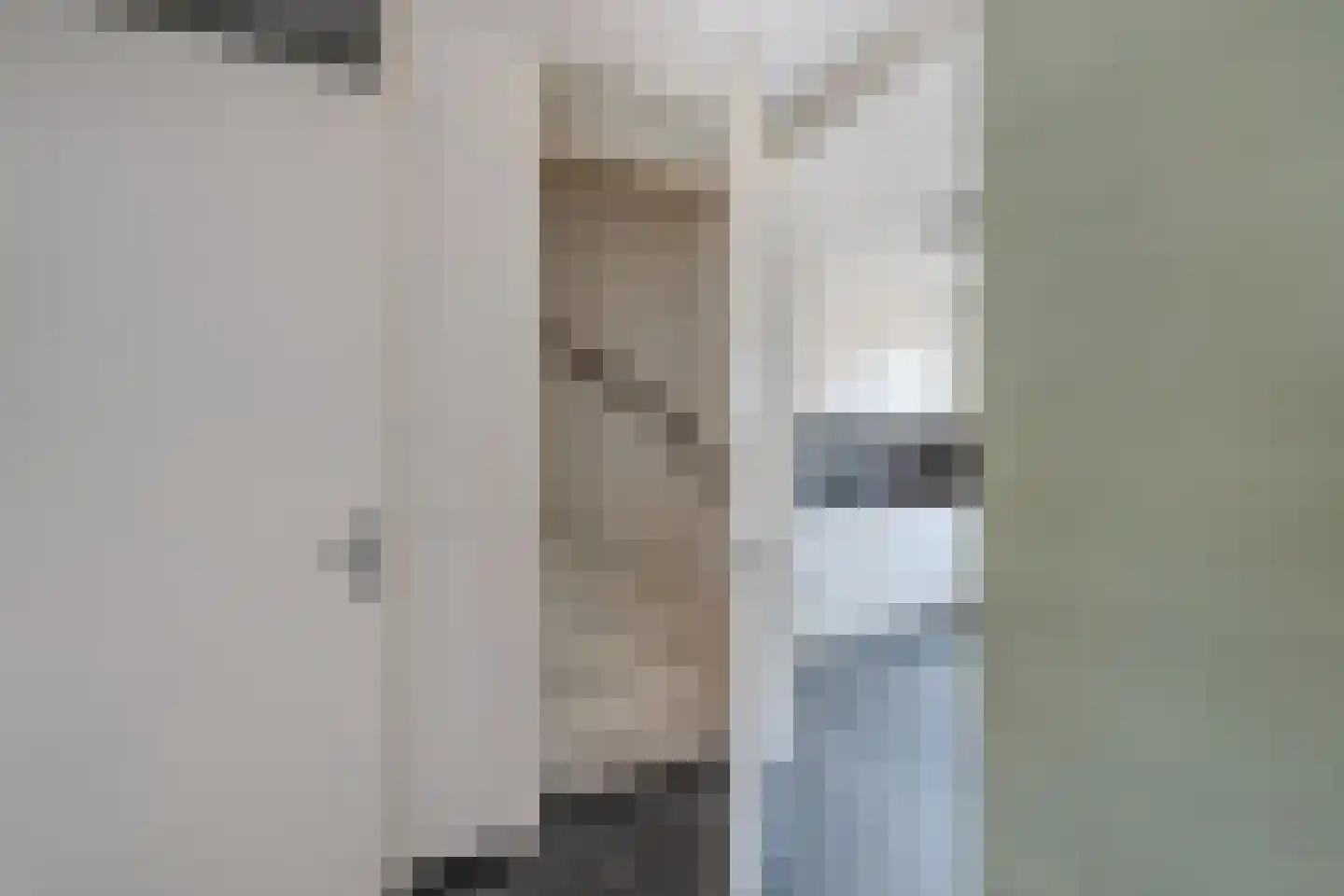 De Toekomst 15 Steggerda thumbnail 14