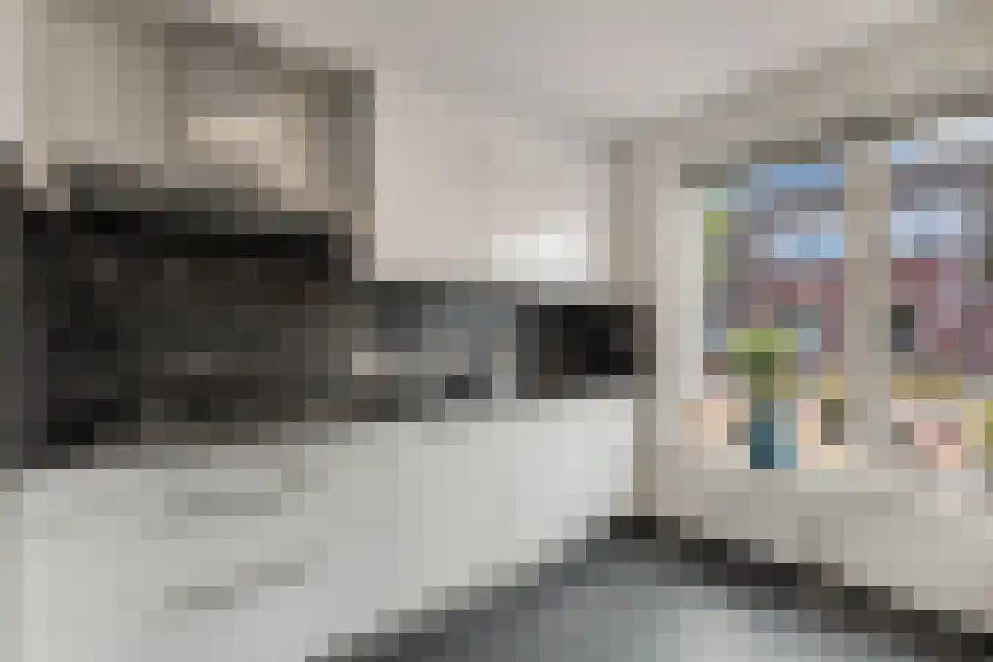 De Toekomst 15 Steggerda thumbnail 15