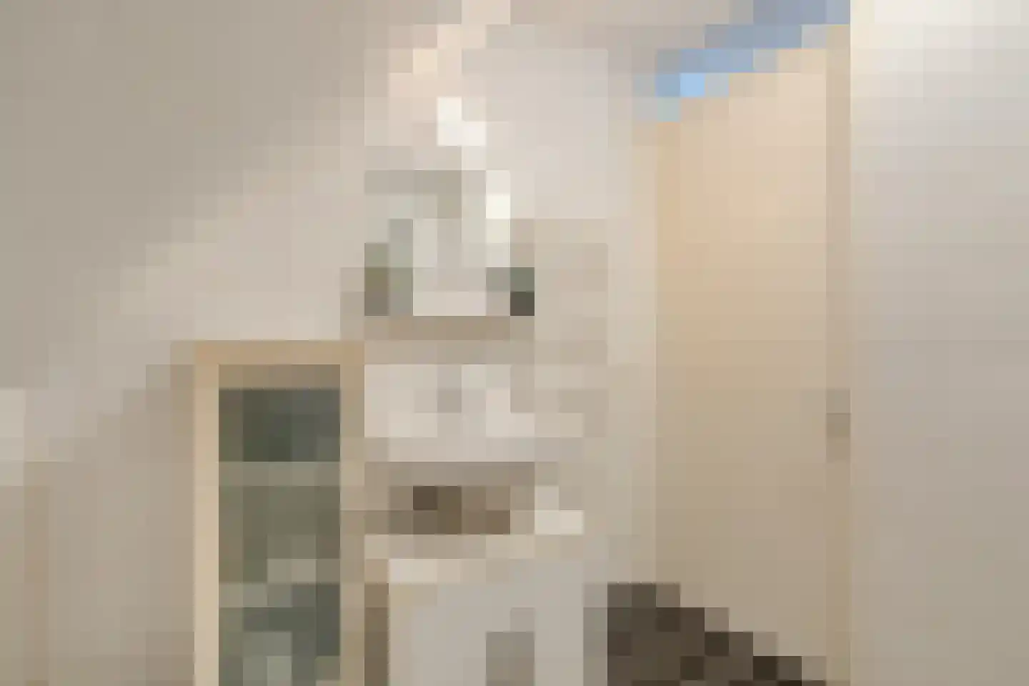 De Toekomst 15 Steggerda thumbnail 25
