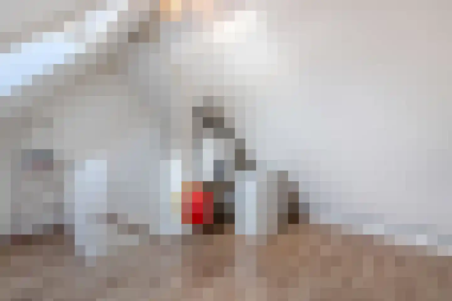 De Toekomst 15 Steggerda thumbnail 27