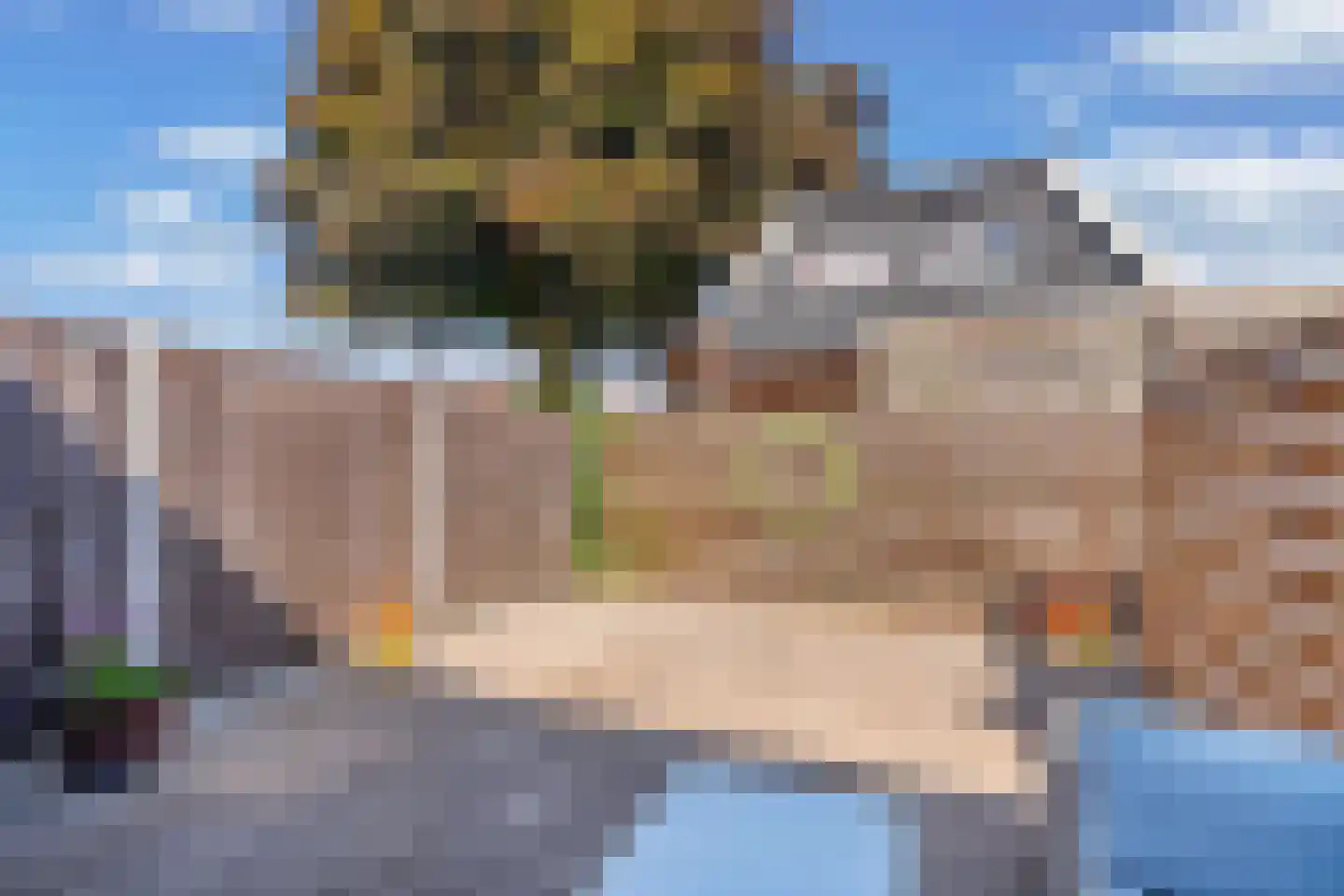 De Toekomst 15 Steggerda thumbnail 34