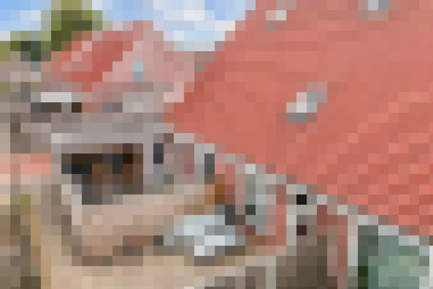 De Toekomst 15 Steggerda thumbnail 35