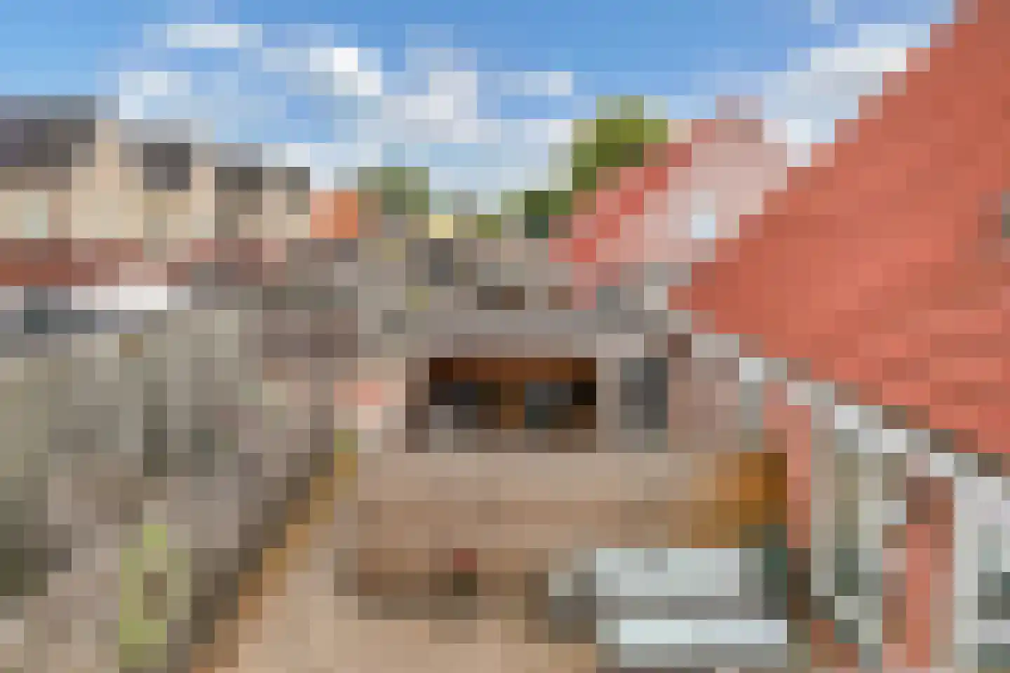 De Toekomst 15 Steggerda thumbnail 36
