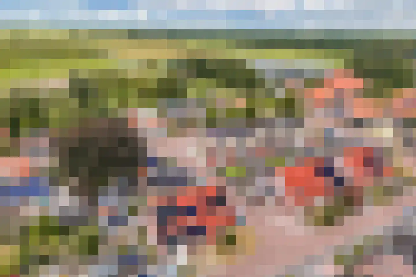 De Toekomst 15 Steggerda thumbnail 38