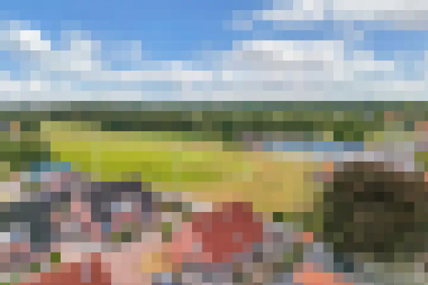 De Toekomst 15 Steggerda thumbnail 39
