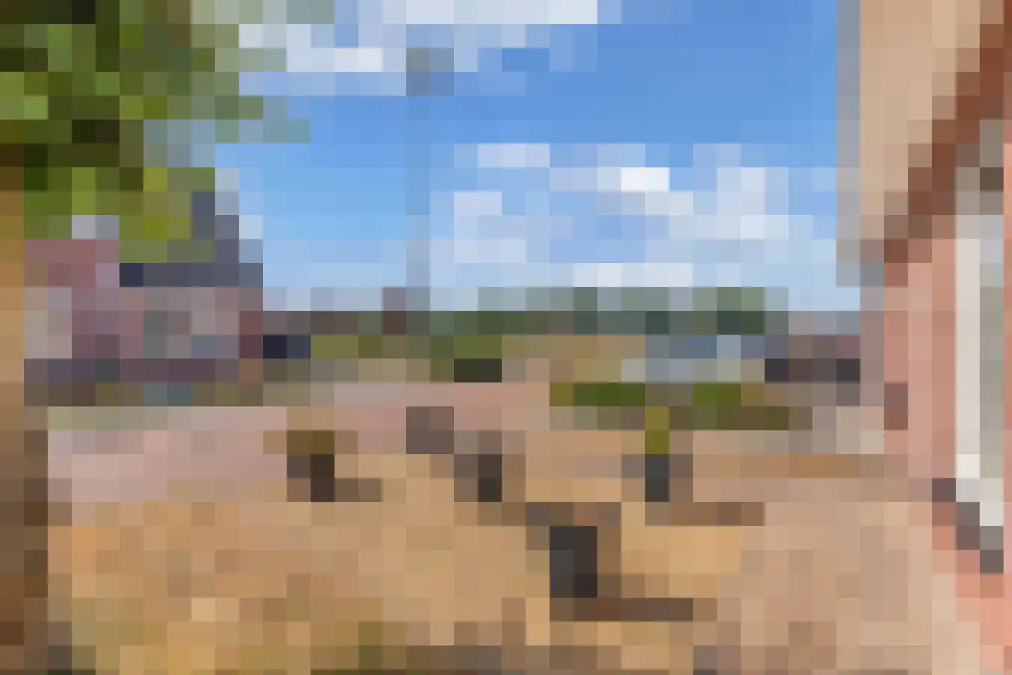 De Toekomst 15 Steggerda thumbnail 4