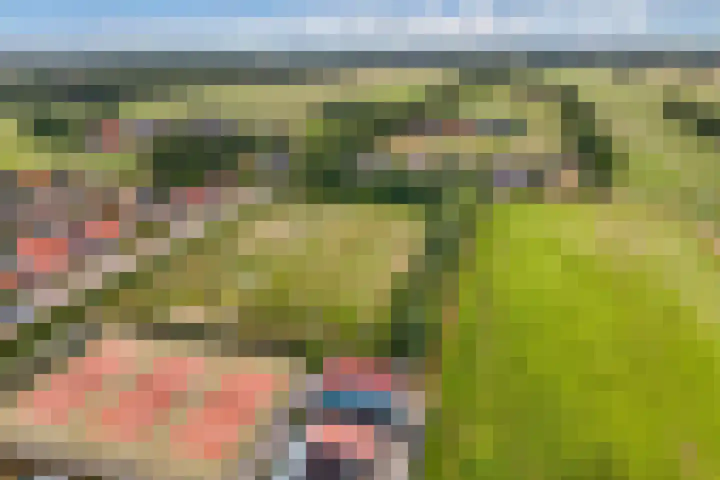 De Toekomst 15 Steggerda thumbnail 40