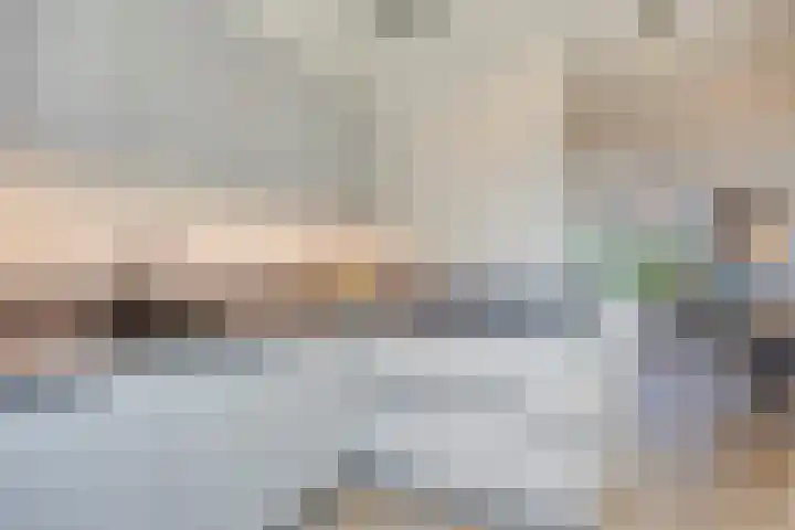 De Toekomst 17 Steggerda thumbnail 10