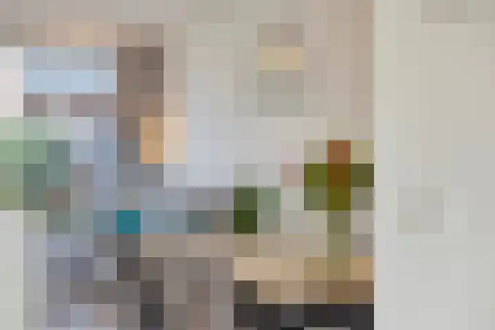 De Toekomst 17 Steggerda thumbnail 11