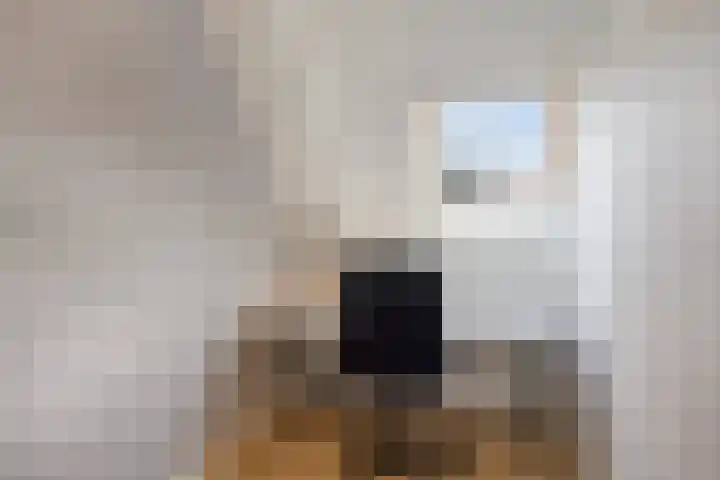 De Toekomst 17 Steggerda thumbnail 16