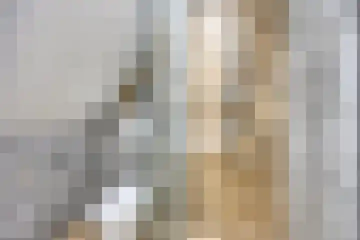 De Toekomst 17 Steggerda thumbnail 19