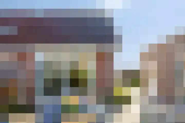 De Toekomst 17 Steggerda thumbnail 23