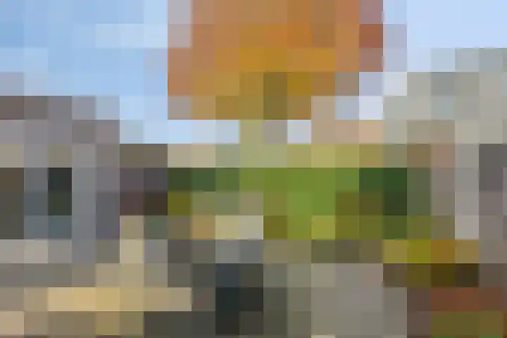 De Toekomst 17 Steggerda thumbnail 24
