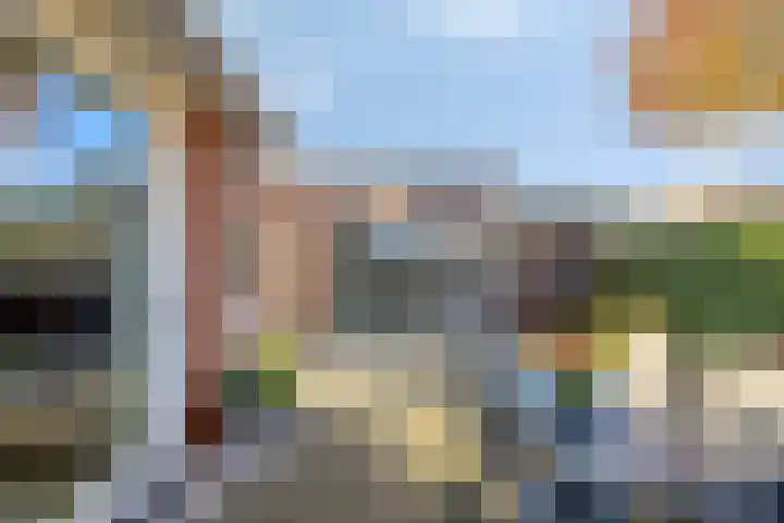 De Toekomst 17 Steggerda thumbnail 25