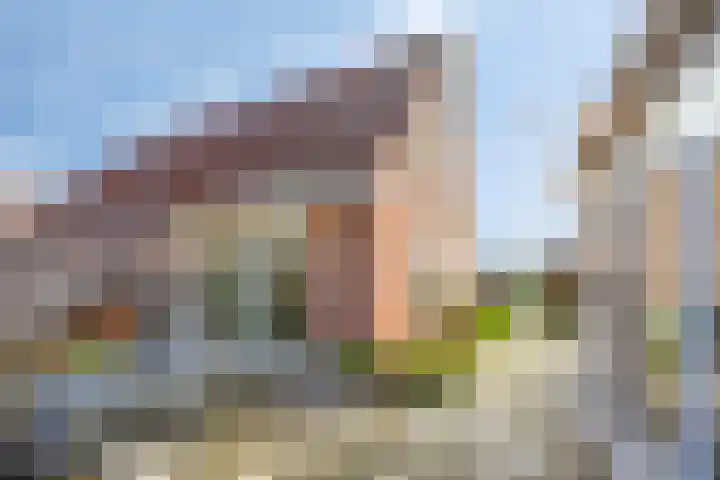 De Toekomst 17 Steggerda thumbnail 26