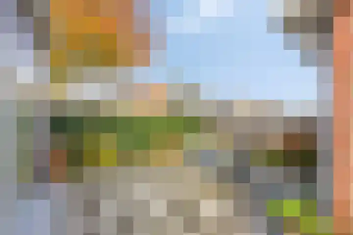 De Toekomst 17 Steggerda thumbnail 28