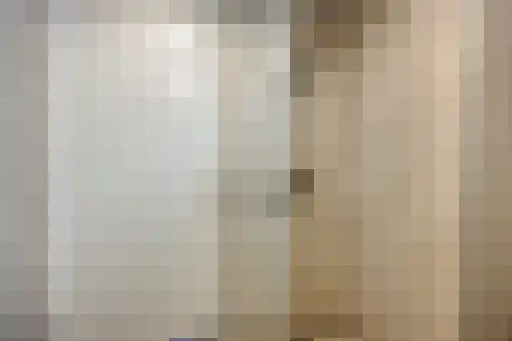 De Toekomst 17 Steggerda thumbnail 33