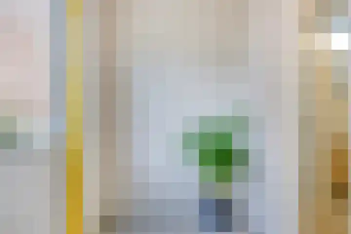 De Toekomst 17 Steggerda thumbnail 34