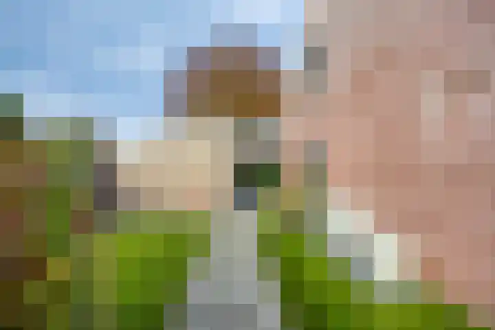 De Toekomst 17 Steggerda thumbnail 35