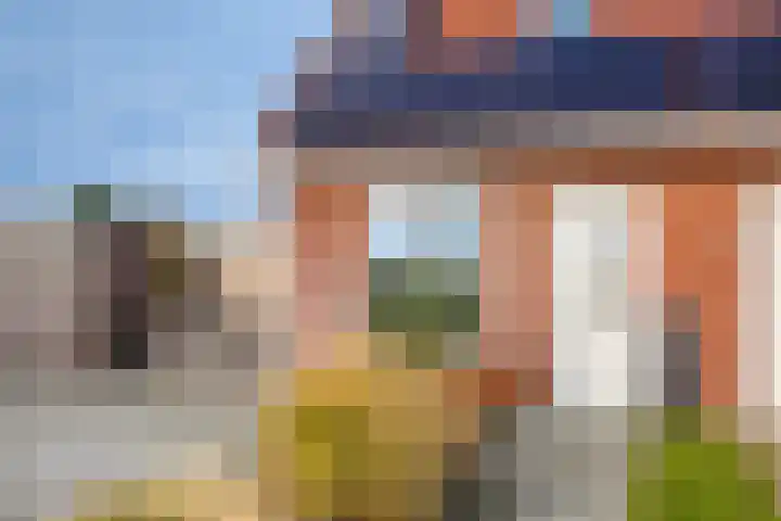 De Toekomst 17 Steggerda thumbnail 36