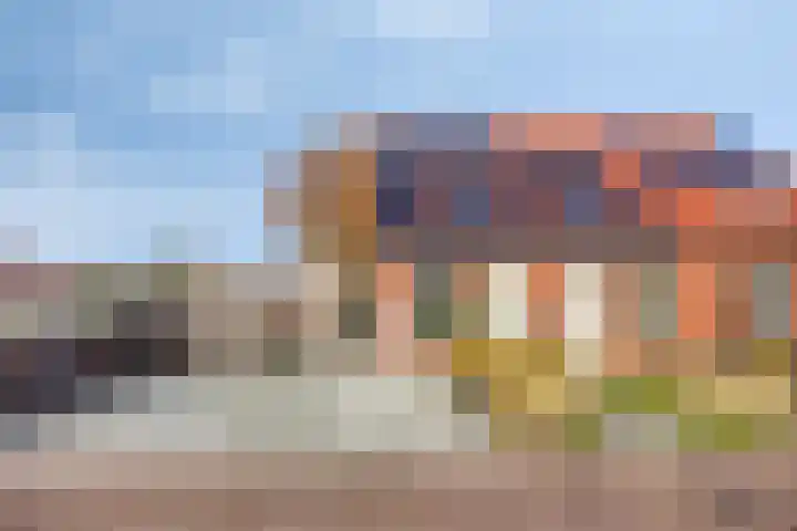 De Toekomst 17 Steggerda thumbnail 37