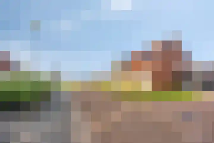 De Toekomst 17 Steggerda thumbnail 38