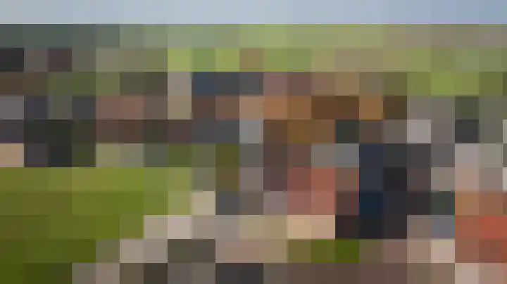 De Toekomst 17 Steggerda thumbnail 39