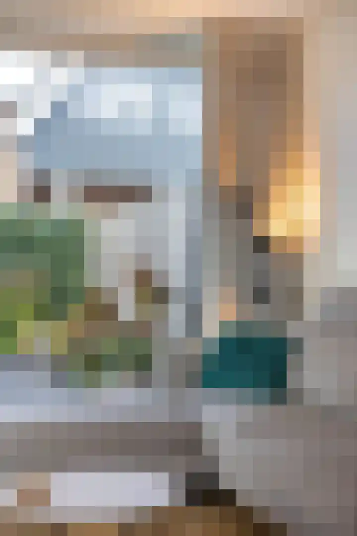 De Toekomst 17 Steggerda thumbnail 4