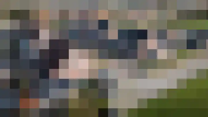 De Toekomst 17 Steggerda thumbnail 42