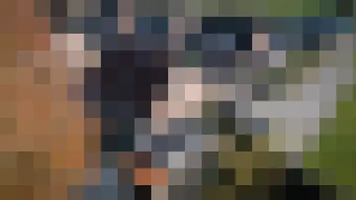 De Toekomst 17 Steggerda thumbnail 46