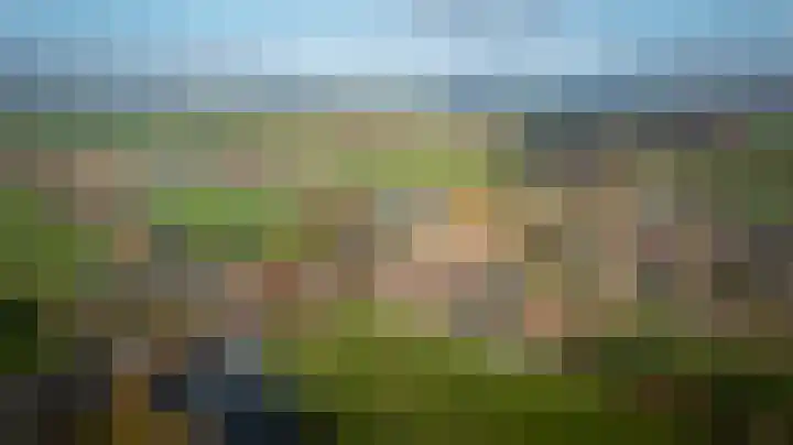 De Toekomst 17 Steggerda thumbnail 55