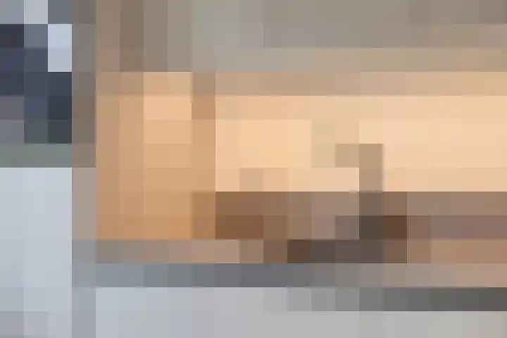 De Toekomst 17 Steggerda thumbnail 9