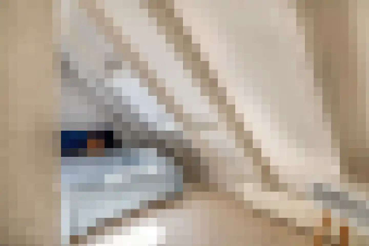 De Toekomst 2 Ouddorp thumbnail 22