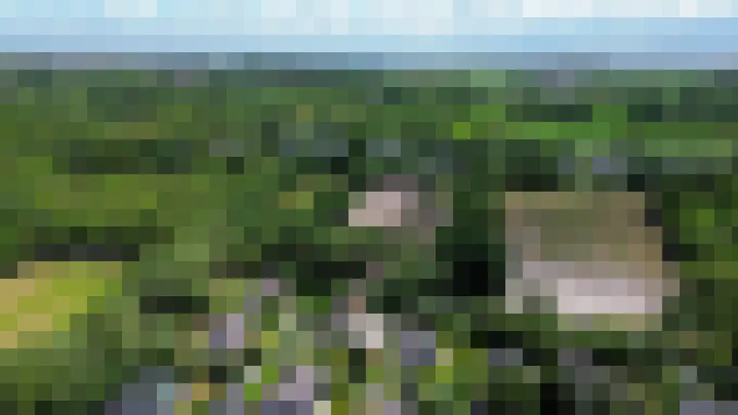 De Toekomst 2 Ouddorp thumbnail 31